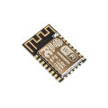 ESP8266- 12E serial WIFI Module (Upgraded Version). 