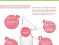 Manual Brest Pump | Breast Pump Suction Base | Breast Milk Extractor for Feeding Mother | Silicon Breast Pump. 