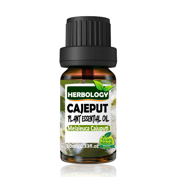 Herbology Cajeput Essential Oil 100% Pure Therapeutic Grade, Steam Distilled, 100% Pure, Vegan, Aromatherapy, Diffuser, Ceramic Diffuser, Pure, Concentrated, EO, Aroma Diffuser