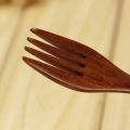 QUANBU Wooden Forks, 15 Pieces Eco-Friendly Japanese Wood Salad Dinner Fork Tableware Dinnerware for Kids Adult (No Rope). 
