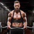 Sports Arm Rack for Biceps and Triceps, Dumbbell and Barbell Rack, Bicep Isolator, Barbell Push-Up Stand, Strengthening and Building Muscles, Easy Weightlifting and Body Building, Heavy Duty Thick Gauge Padded for Men & Women. 