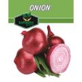 ONION SWAT ONE SEEDS  TOP QUALITY SEEDS. 