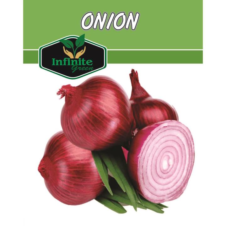ONION SWAT ONE SEEDS  TOP QUALITY SEEDS