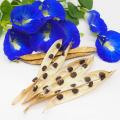 Buy Butterfly Pea Flower Seeds - High-Quality Butterfly Pea Seeds for Beautiful Blue Pea & Clitoria Ternatea - Darwin Pea & Cordofan Pea Varieties - Grow Stunning Asian Pigeonwings in Your Garden. 