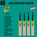 2023 Latest Edition GM Cricket Bats | 2023 Edition GM Brand Cricket Bat | 2023 Latest Edition GM Cricket Bat for Beginner Cricketers. 