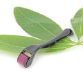 Derma  Roller. 