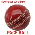 cricket pace ball 300grams. 