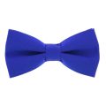 Blue bow tie for boys and kids. 