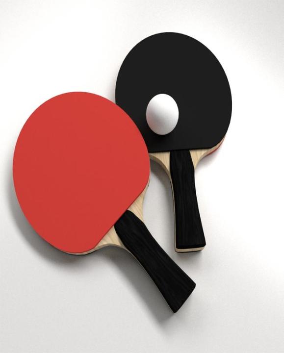 Table Tennis Set With Balls - Multicolor