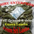 Guava Leaves 100 % Pure Organic well cleaned & Sun Dried 70 gm. 