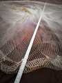 Fishing Cast Net - 1 Yard Mesh, 28 Inch Height, Round Shape - Available in 3 and 6 Numbers, 700g and 1000g Weight. 