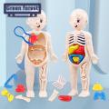 Hands-on Anatomy Learning Kit Interactive Human Body Model Kit Educational Diy Toy with 11 Analysis Cards Ideal for Students Accessories Included Diy Human Organ Model. 