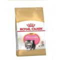 Persian Kitten- 400G. 