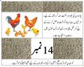 Premium Chicken Feed & Dana – 500gm | High Protein Mix, Egg Booster & Growth Starter – All Stages Feed (Chicks, Hens & Ducks). 