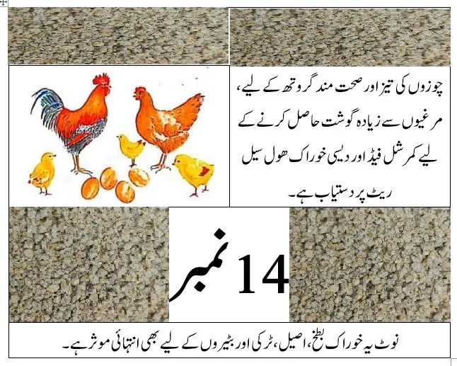 Premium%20Chicken%20Feed%20&%20Dana%20%E2%80%93%20500gm%20%7C%20High%20Protein%20Mix,%20Egg%20Booster%20&%20Growth%20Starter%20%E2%80%93%20All%20Stages%20Feed%20(Chicks,%20Hens%20&%20Ducks)%20-%20Image%203