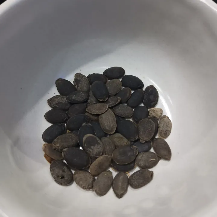 Summer%20vegetable%20seeds%20gheya%20turai%20By%20HMS%20Proudct%20-%20Image%202