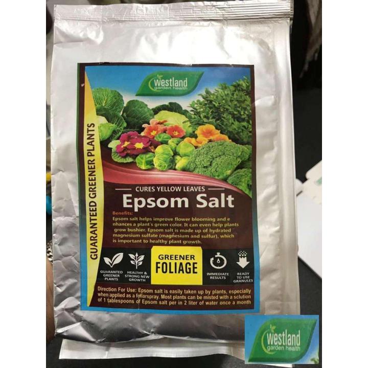 EPSOM SALT FOR PLANTS 500 GRAMS PACK (IMPORTED)