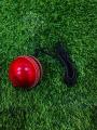 Leather Cricket Hanging Cricket Ball. 