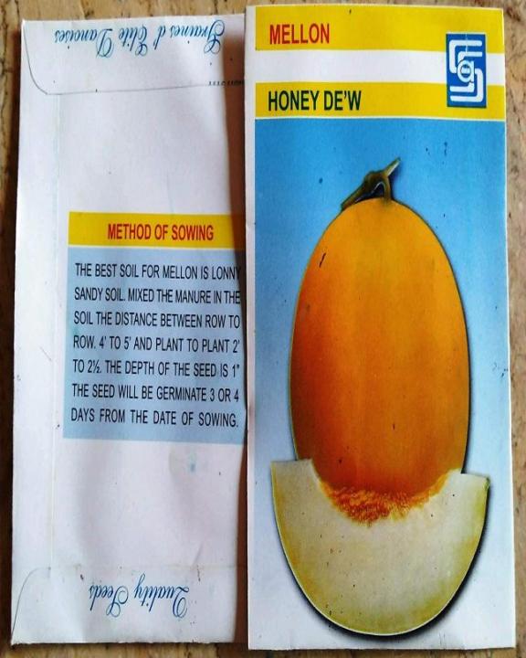 Mellon%20Honey%20Dew%20-%20Image%204