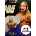 WWE Superstar Action Figure Mini Young HHH Men's Pro Wrestling Toy. 