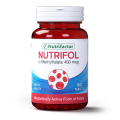 Nutrifactor Nutrifol – L-Methylfolate 400 mcg, Folic Acid Tablets for Pregnancy, Healthy Red Blood Cells, Fertility Support and Maternal Health Supplement | 60 Tablets. 