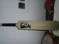 plastic bat (hard plastic RBK). 