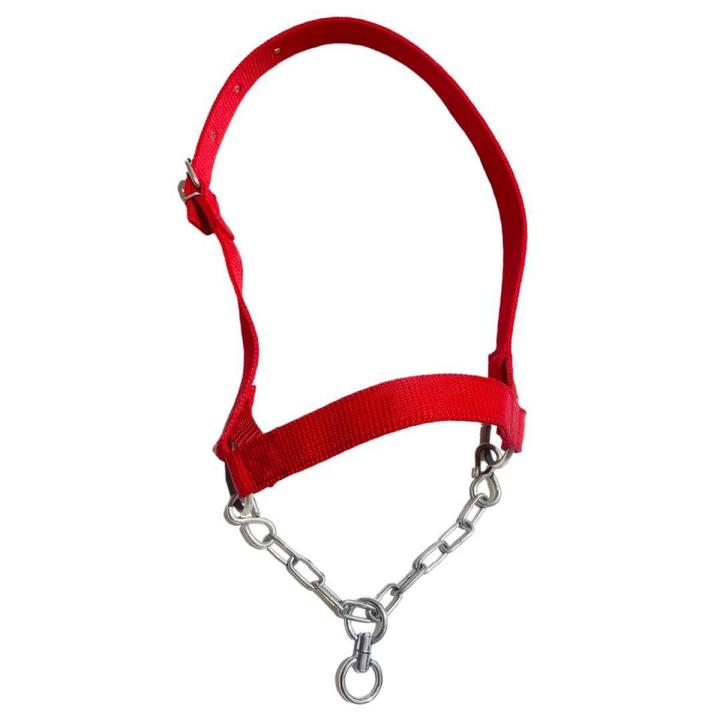 Cow Chain Design Mouth Halter Nylon - Adjustable