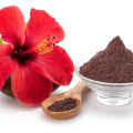 Hibiscus powder for face | Hibiscus Flower Powder for Hair 100 Grams Hibiscus powder for face | Hibiscus Flower Powder for Hair 100 Grams Hibiscus powder for face | Hibiscus Flower Powder for Hair 100 Grams. 