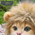Cute Lion Cat Hat Adorable Lion Style Pet Hat Soft Breathable Lightweight Headwear for Dogs Cats Perfect Photography Prop Friendly to Skin Ideal for Southeast Asian Buyers Cat Hat. 