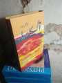 Aag  Ka Darya Book By Qurat Ul Ain Haider. 