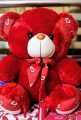 14 Inches Tie Knot Fluffy Teddy Bear for Girls Big Size Birthday Gift for Girls - Stuff Toys for Kids Birthday Gifts for Boys / Anniversary Gift for Wife - 14 Inches/  35.5cm/ 1.16ft. - 5 Colors Available. 