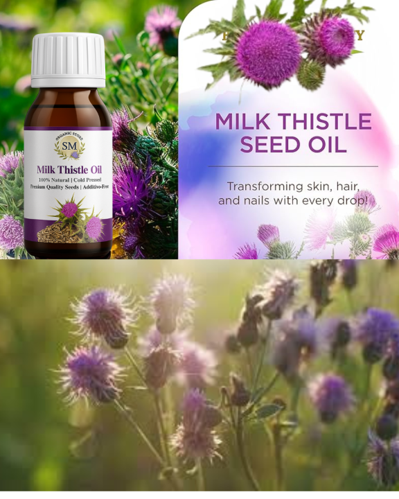 Milk%20Thistle%20Oil%20(Ont%20Katara%20/%20Jigar%20Katara)%20%7C%20Herbal%20Liver%20Detox%20&%20Support%20Oil%20%7C%20Natural%20Unani%20Remedy%20%7C%20Chemical-Free,%20Premium%20Quality,%20Organic%20Herbal%20Oil%20-%20Image%203