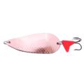 Fishing Lure Anti-rust Metal Leech Bait Fishing Equipment. 