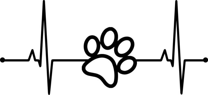 Car, Laptop & wall Sticker - Pawprint Lifeline Decal Pet Dog Paw Heartbeat Heart Love Window Bumper Sticker 5 x 2.25 inches