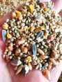 Mixed Feed Kabooter Dana (Pigeons, Hens, Peacock ) (1 Kg). 