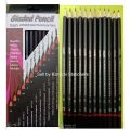 Set of 12pcs different shades Drawing/Sketching pencils. 