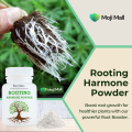 Rooting Hormone Powder for Plants - Rooting Hormone for Cuttings - Suitable for Violets, Azaleas, Rose, Geraniums, Coleus, Orchids and Most Indoor and Outdoor Plant - Moji Mall. 