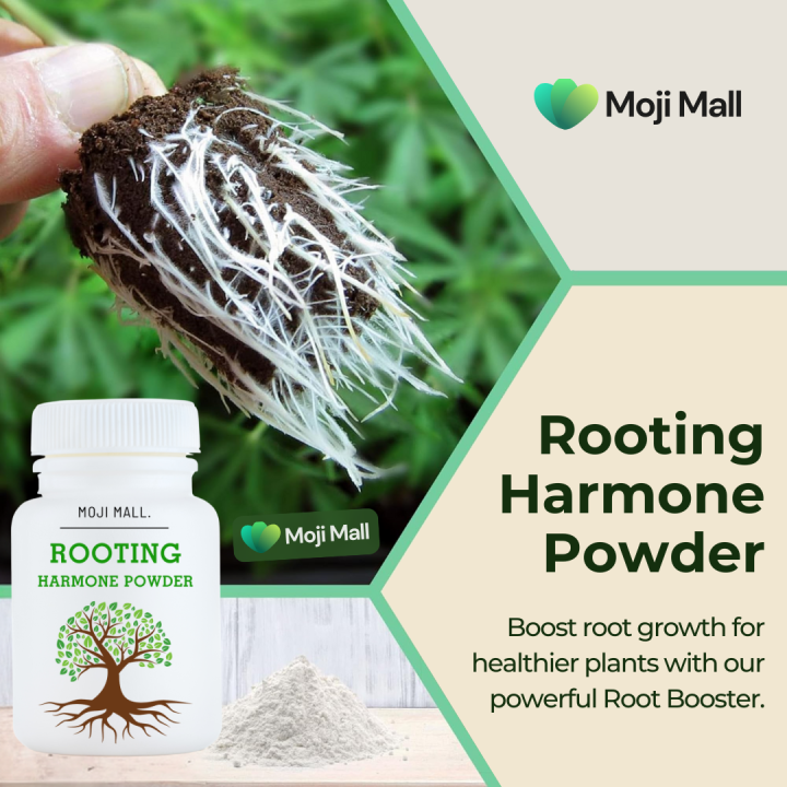 Rooting Hormone Powder for Plants - Rooting Hormone for Cuttings - Suitable for Violets, Azaleas, Rose, Geraniums, Coleus, Orchids and Most Indoor and Outdoor Plant - Moji Mall