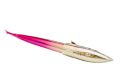 Fancy Shark Shape Fountain Ink Pen High Quality Plastic Body - Pack of 1 ink Pen. 