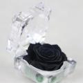 Ring Holder All Match Micro Landscape Forever Rose Ring Box. 
