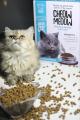 Pack of 2 CHEOW MEOOW PREMIUM QUALITY CAT FOOD Healthy Quality Dry Cat Food contains Real chicken Best food for Cats - Suitable for all ages Taking good care of nutrition and taste, Fluffy Cat Food makes a cat healthy, Best Kitten Food. 