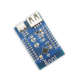 Bluetooth 5.3 RF2.4G Microcontroller Multifunction Portable Low Power Bluetooth Dual USB RISC-V Module. 