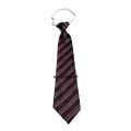 The City School Primary Boys Uniform Elastic Tie Gray & Maroon Lining Uniform Tie. 