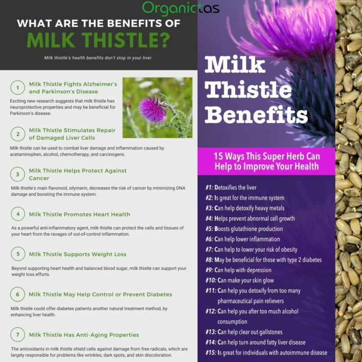 MILK%20THISTLE%20SEEDS%20-%20Organic%20for%20Tea%20Silybum%20Marianum%20Natural%20Detox%20100g%20-%20Image%209