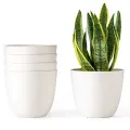 Pack of 6 - Small Flower Pots for Cactus and Artificial Plants - White. 