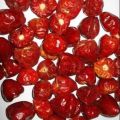 kunri whole/longi whole/ gol pepper/200g. 
