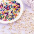 200pcs Dried Flowers For DIY Epoxy Resin Candle Making Jewellery Glass Filler. 