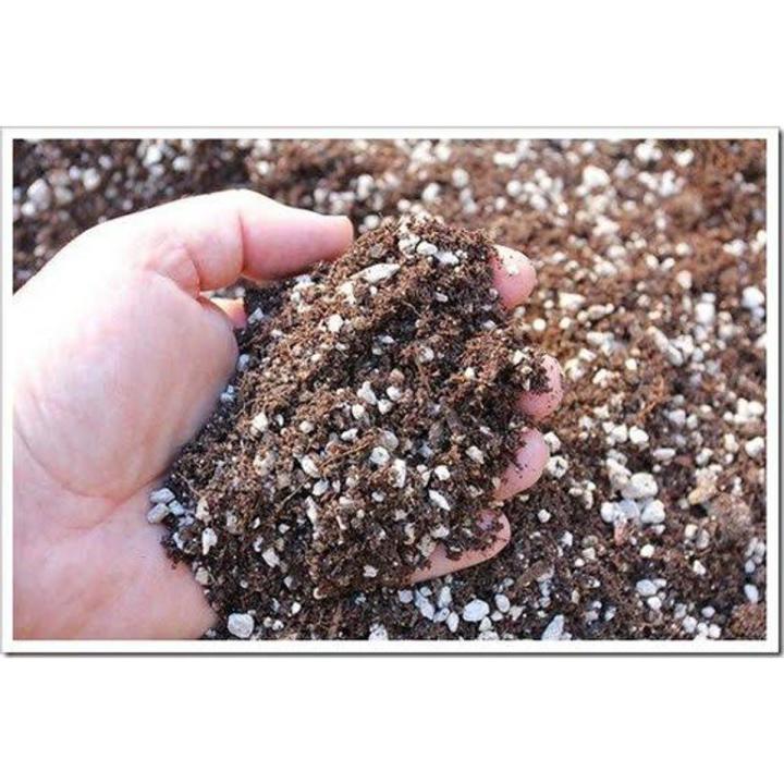 Premium Succulent Soil Mix – Soilless Potting Mix for Succulents – Best ...