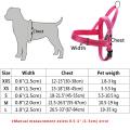 Lead & Harness - For Large Dogs. 