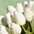20Pcs White 13.8inch Artificial Tulips Flowers for Party Decoration,Wedding Home Decoration. 